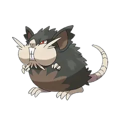 Arte oficial de Alolan Raticate